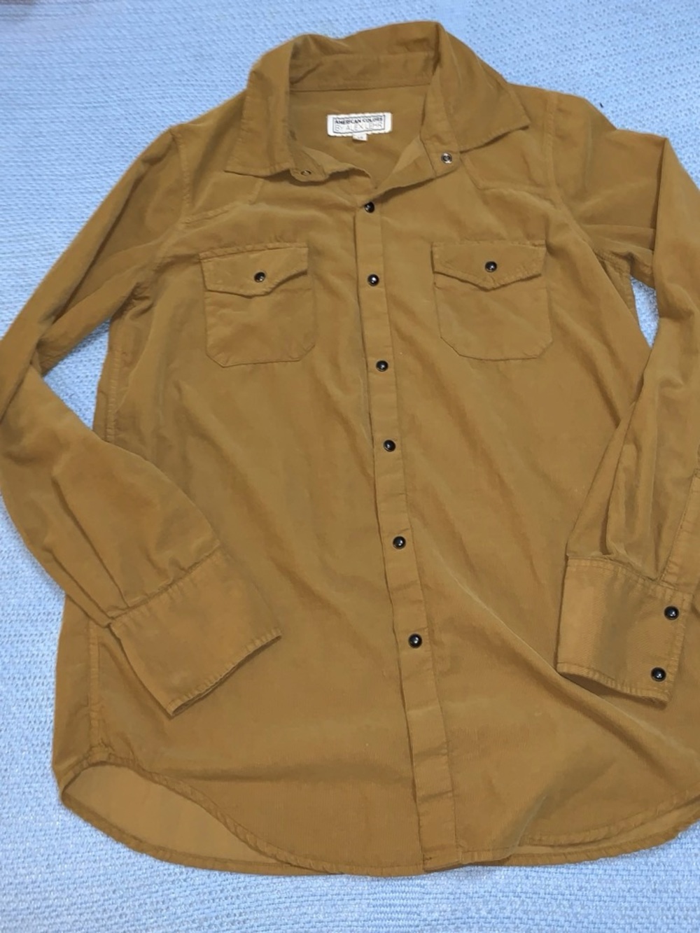 Long-Sleeve Button-Front Women's Blouse in Mustard